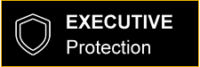 Executive protection provided with your limousine service