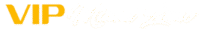 VIP Miami Limo Logo